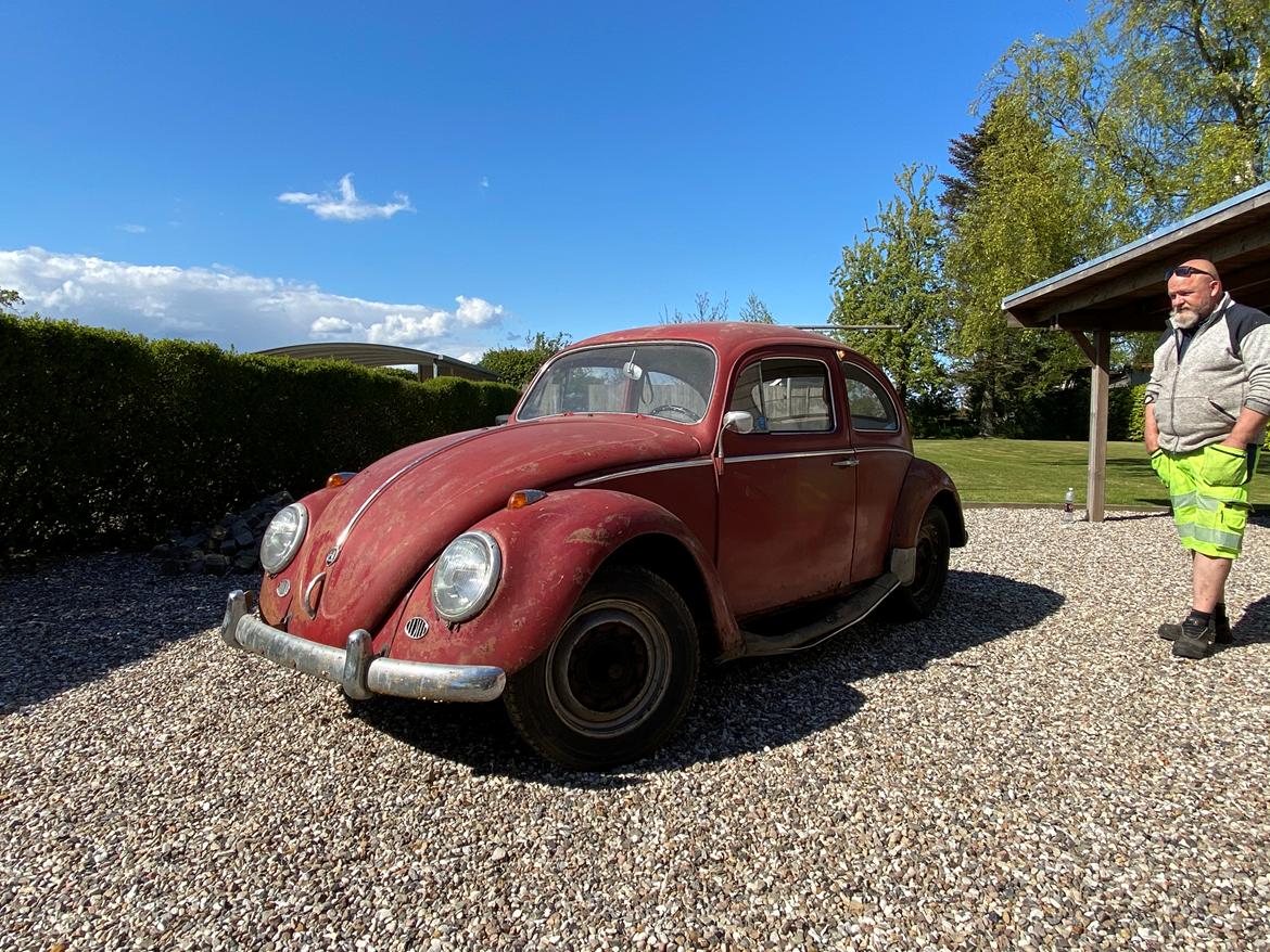VW Bobbel 1200 billede 7
