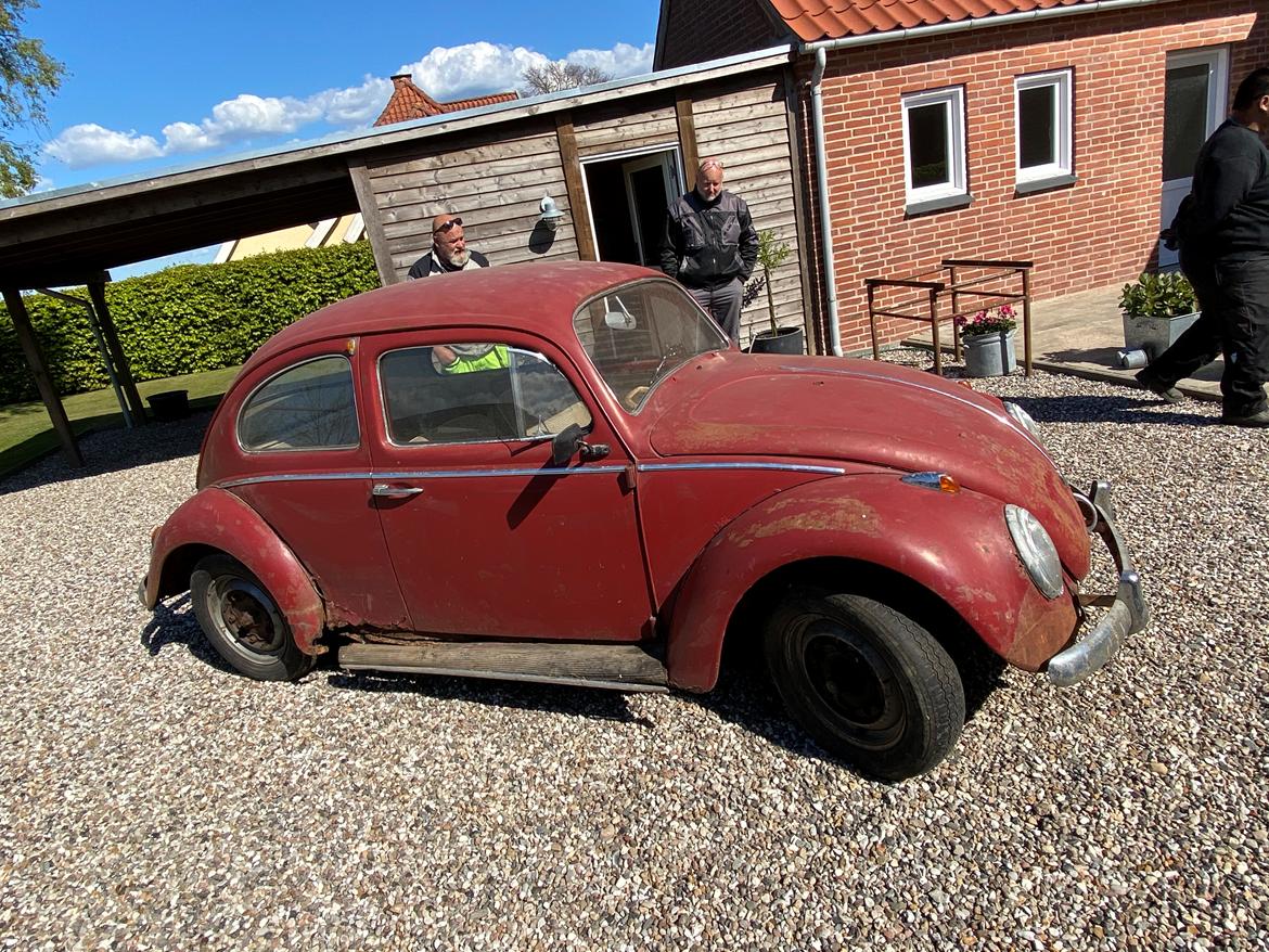 VW Bobbel 1200 billede 8