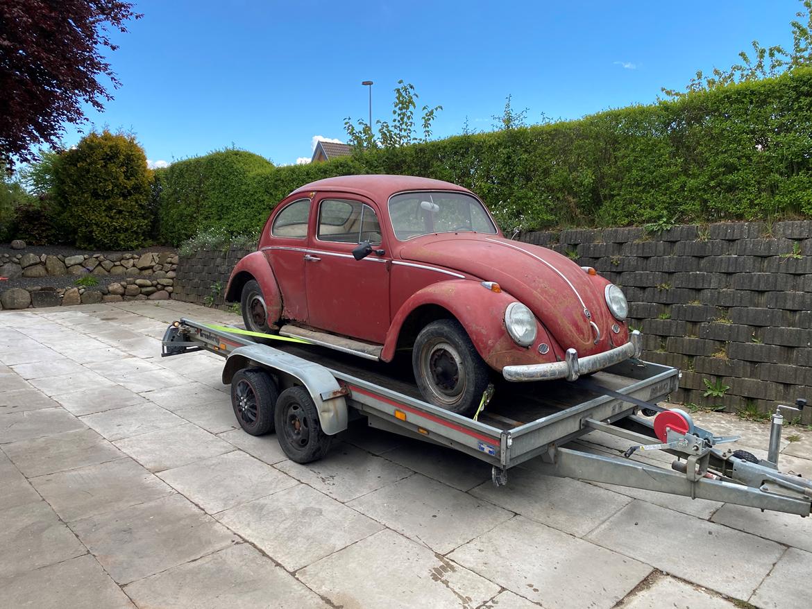 VW Bobbel 1200 billede 10
