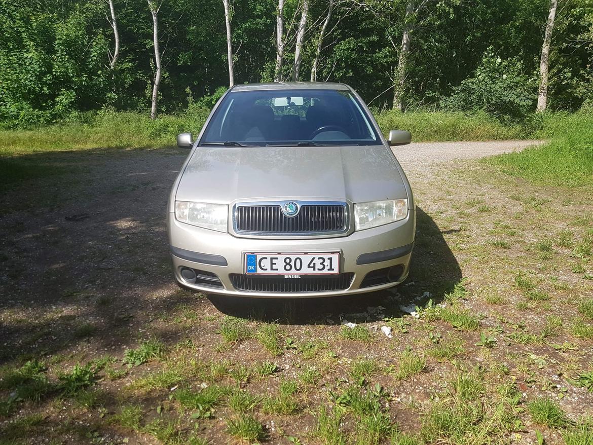 Skoda Fabia billede 1