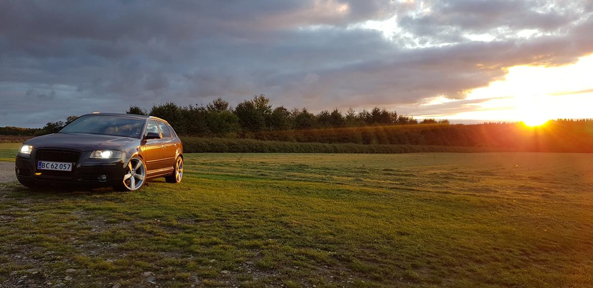 Audi A3 - 2.0 TFSI Quattro - S-line billede 2
