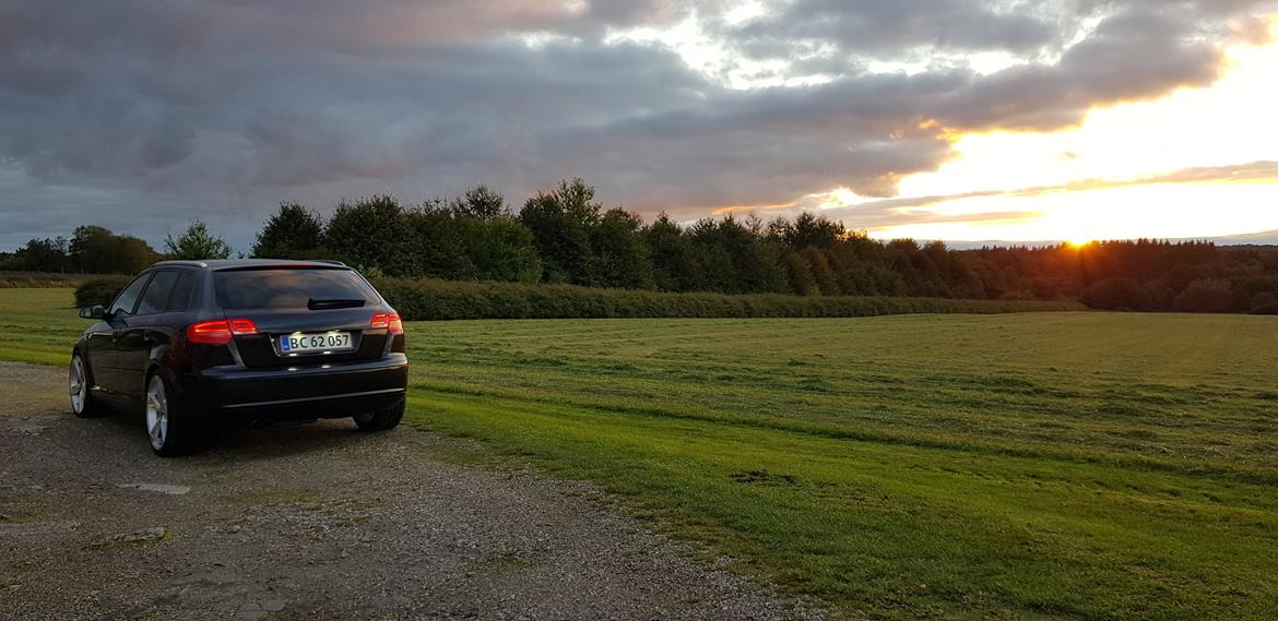 Audi A3 - 2.0 TFSI Quattro - S-line billede 5