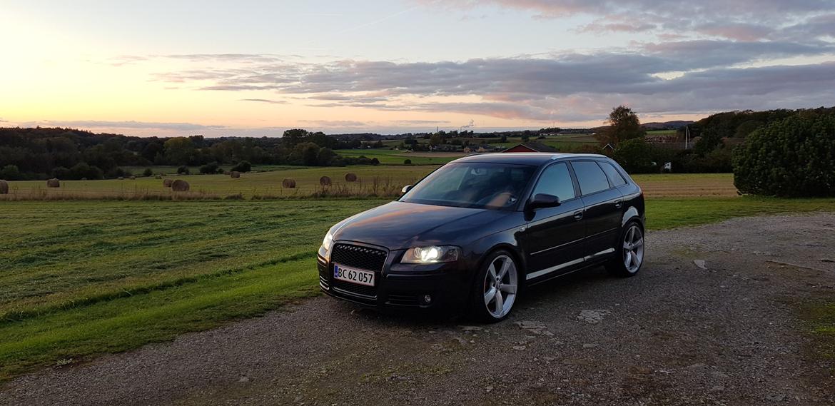 Audi A3 - 2.0 TFSI Quattro - S-line billede 1