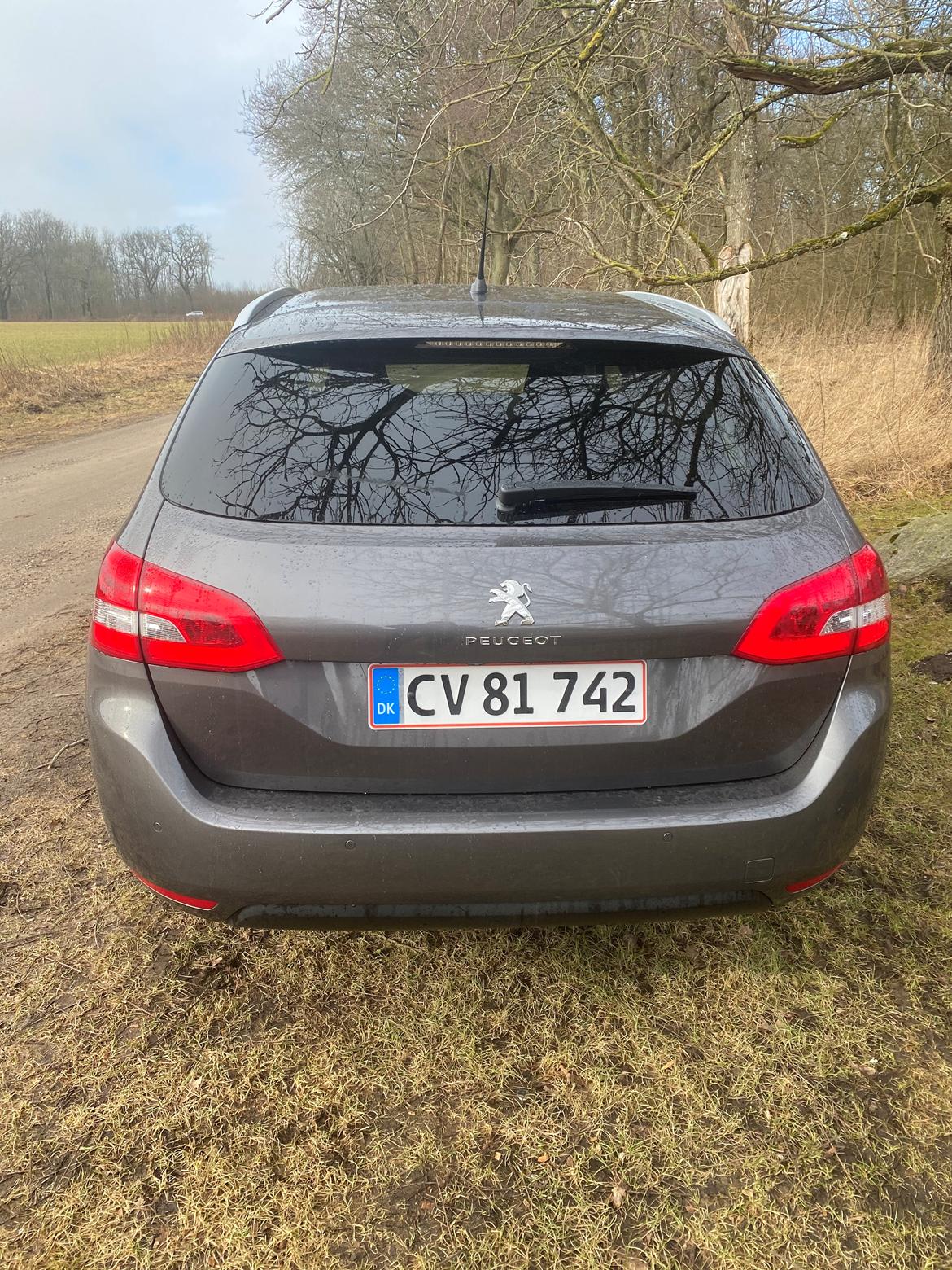 Peugeot 308SW BlueHDI Edition:210+ 130 EAT8 billede 16