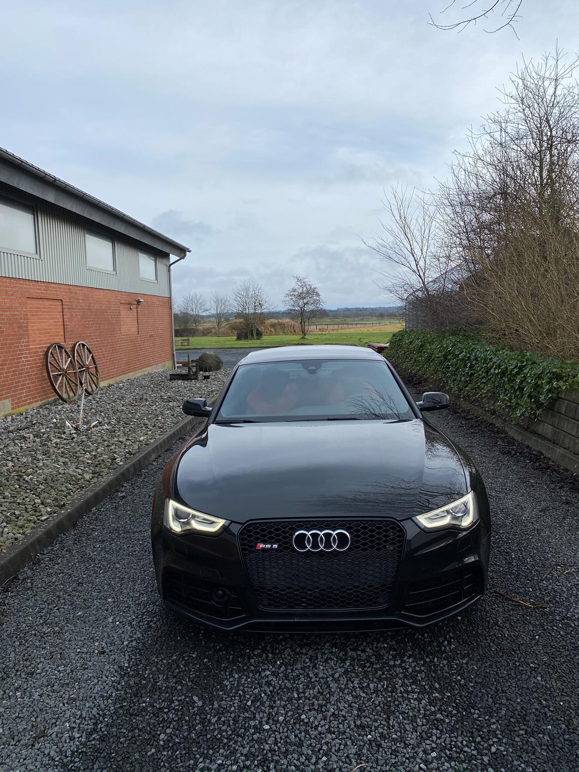 Audi Rs5  billede 12