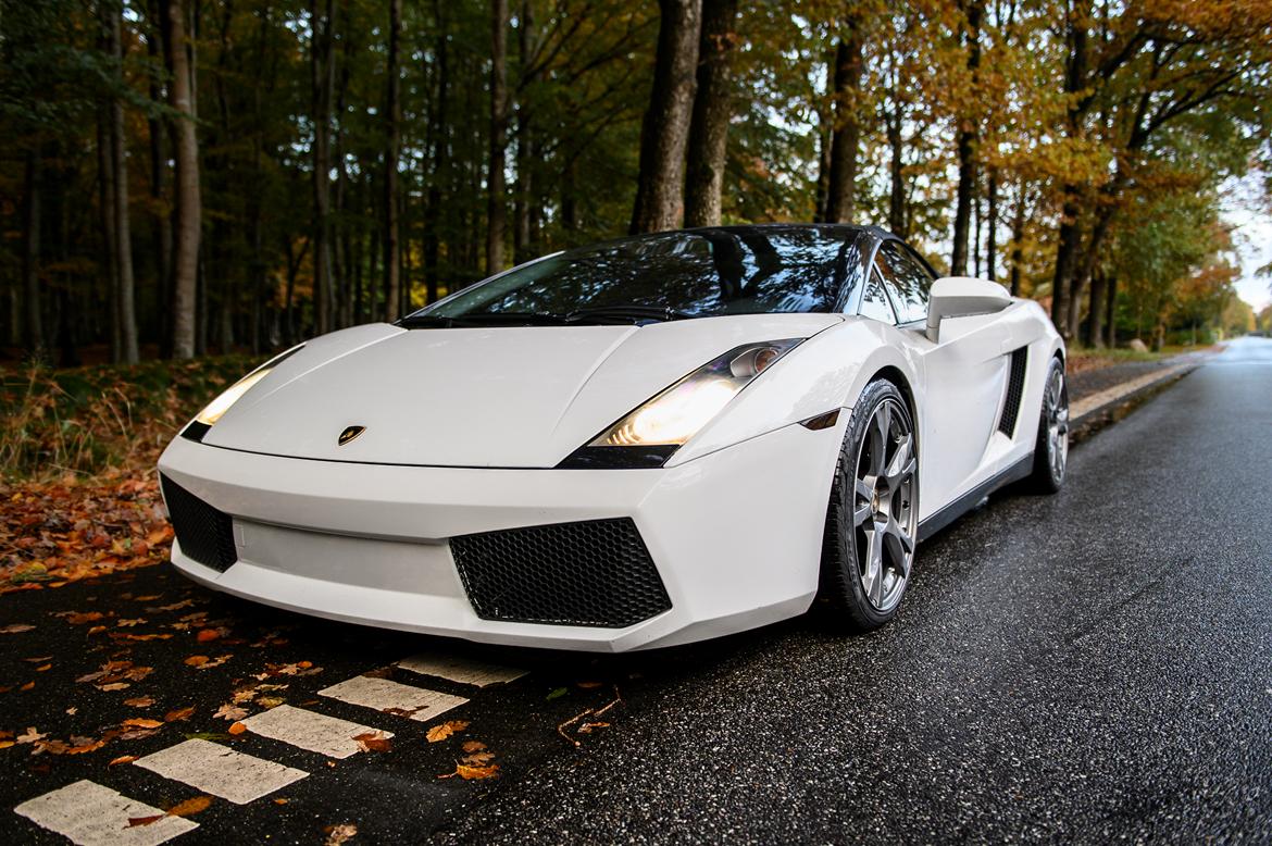 Lamborghini Gallardo Spyder billede 10