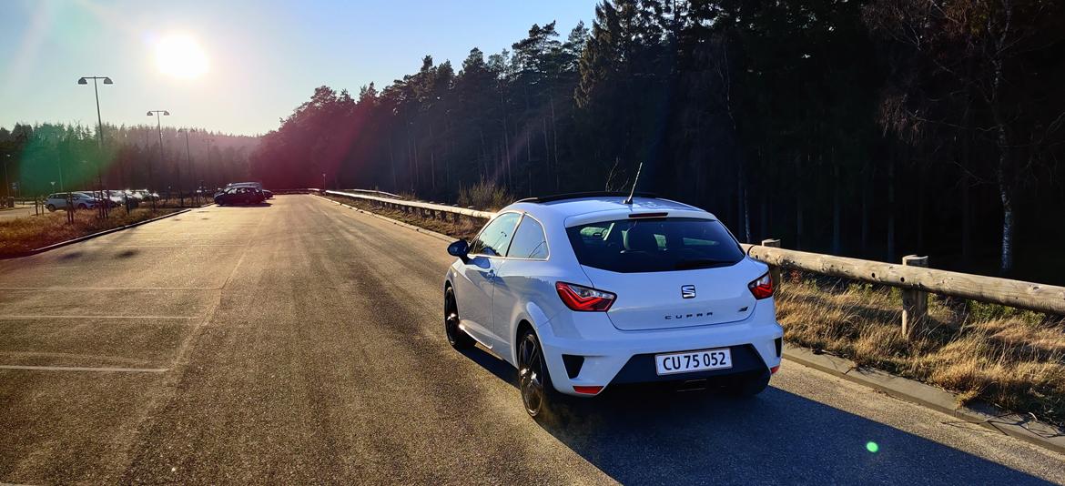 Seat Ibiza Cupra billede 2