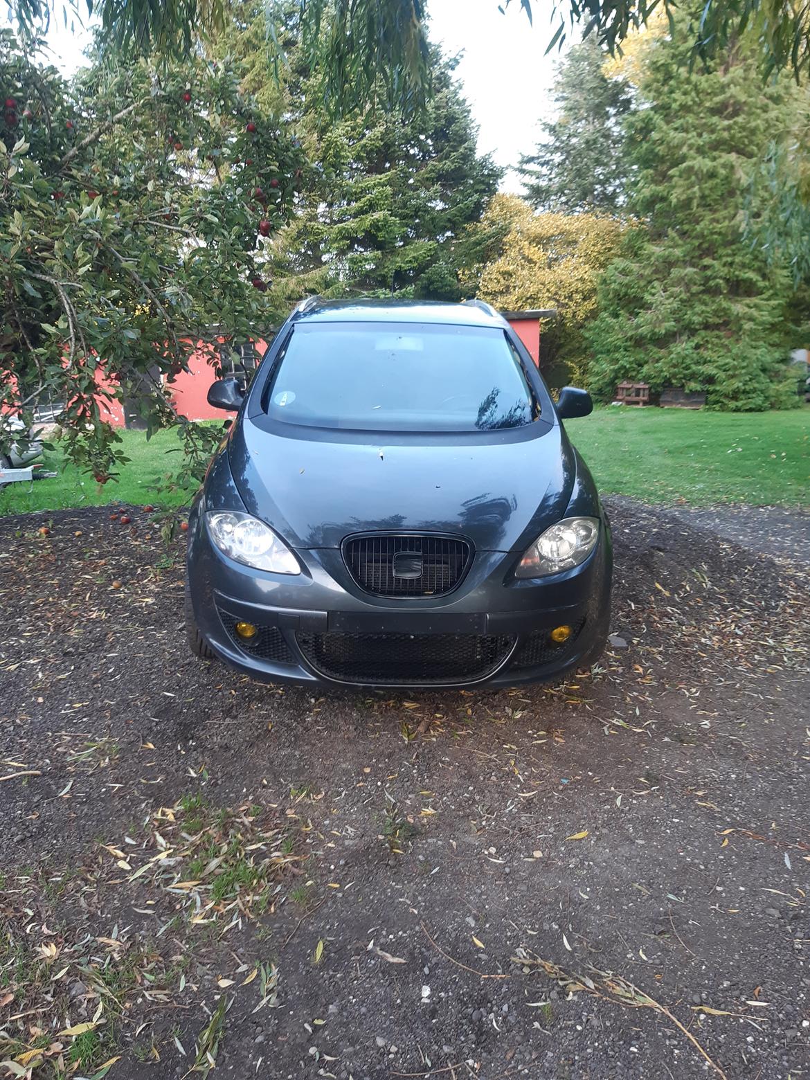 Seat Altea xl (Altezza) billede 1