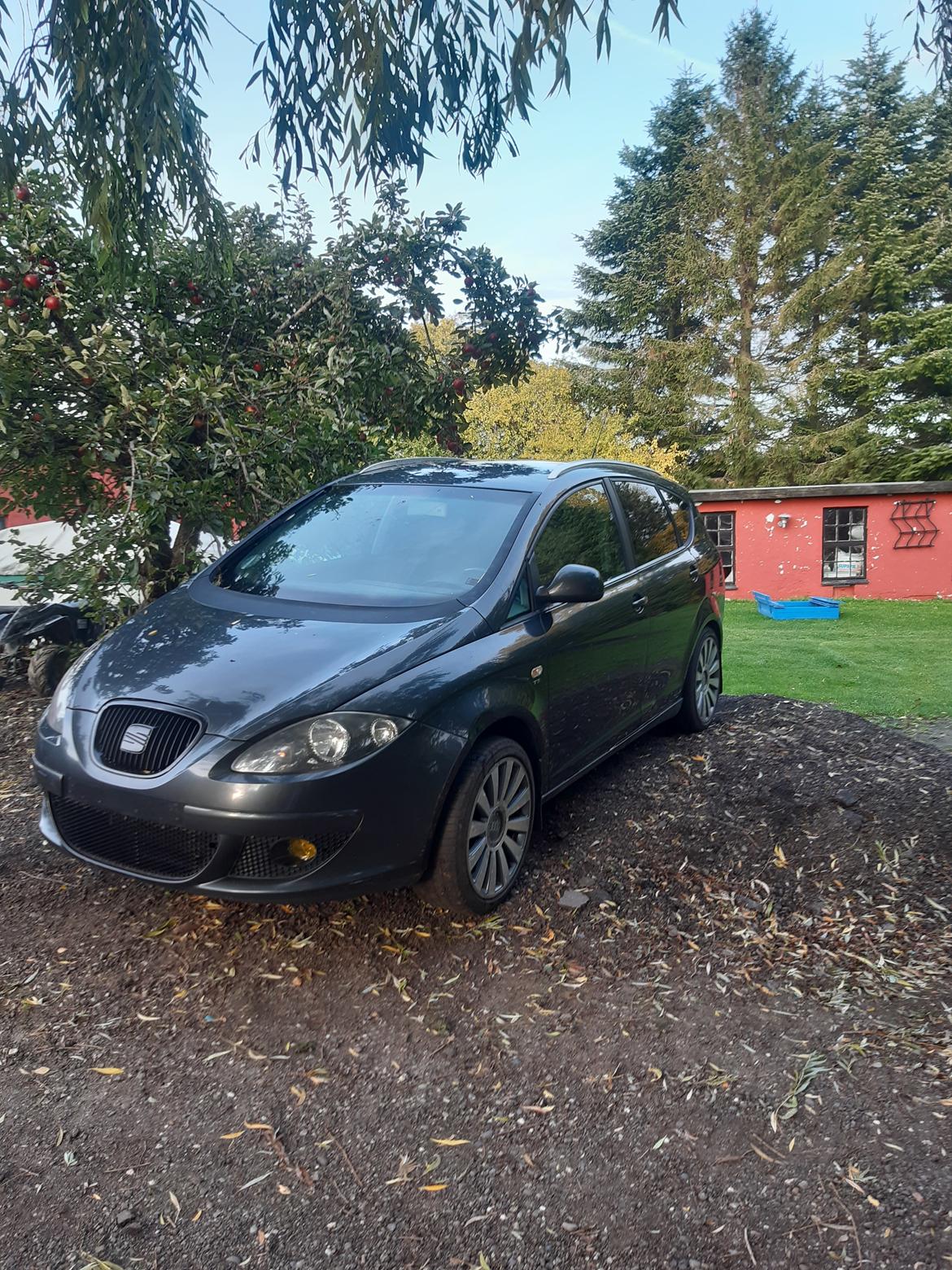 Seat Altea xl (Altezza) billede 2