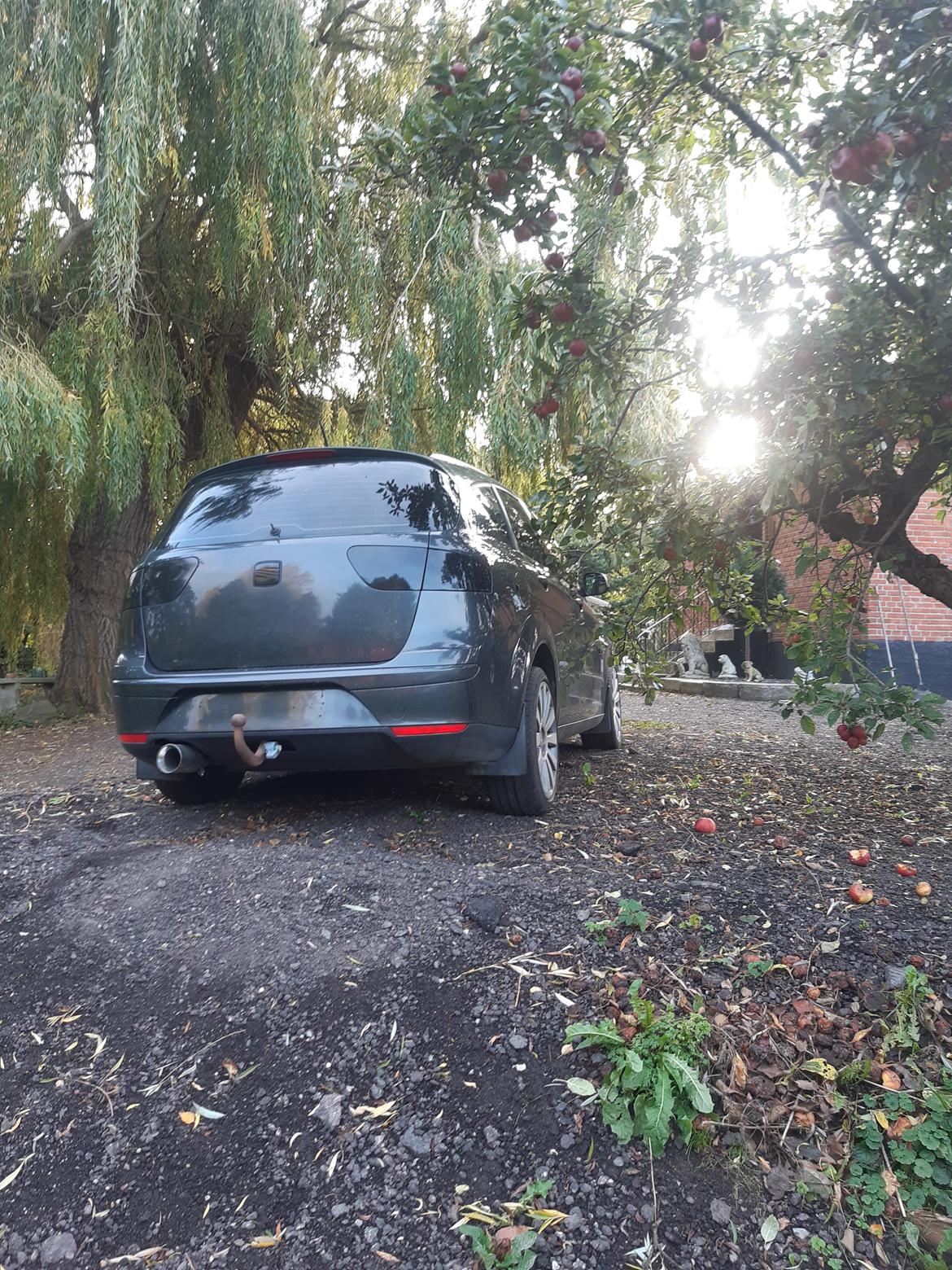 Seat Altea xl (Altezza) billede 4