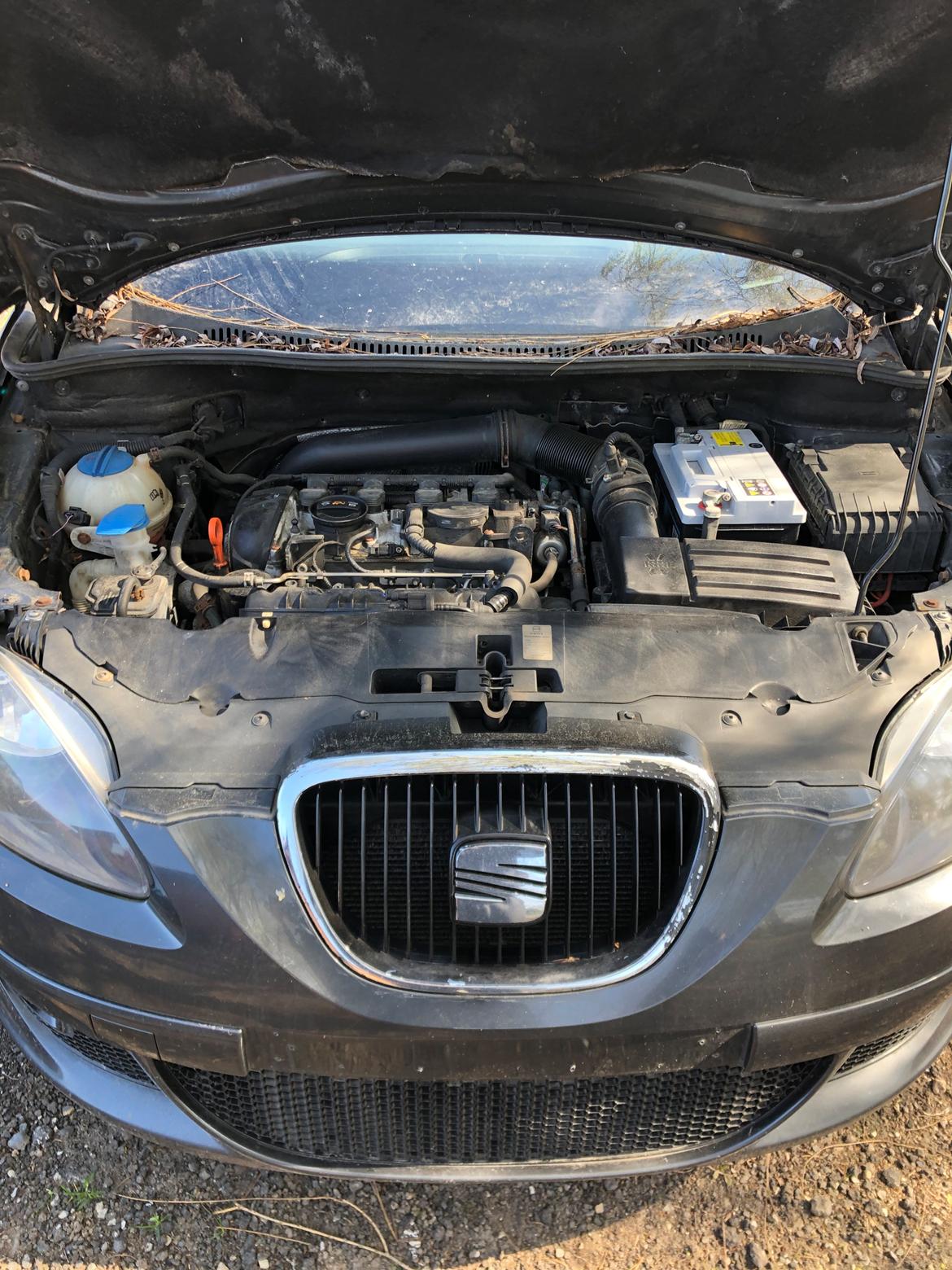 Seat Altea xl (Altezza) billede 8