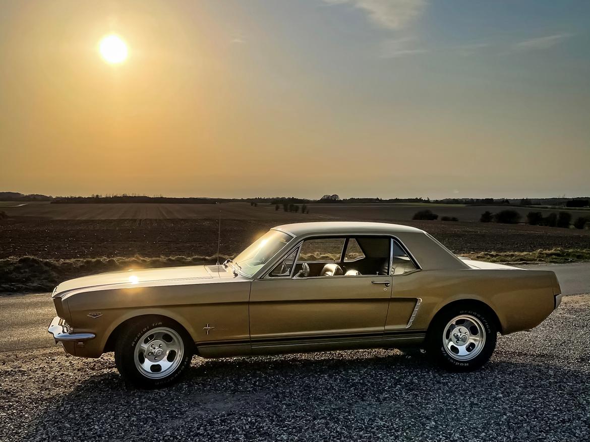 Ford Mustang HiPo Coupé - Solnedgang 2021 billede 2