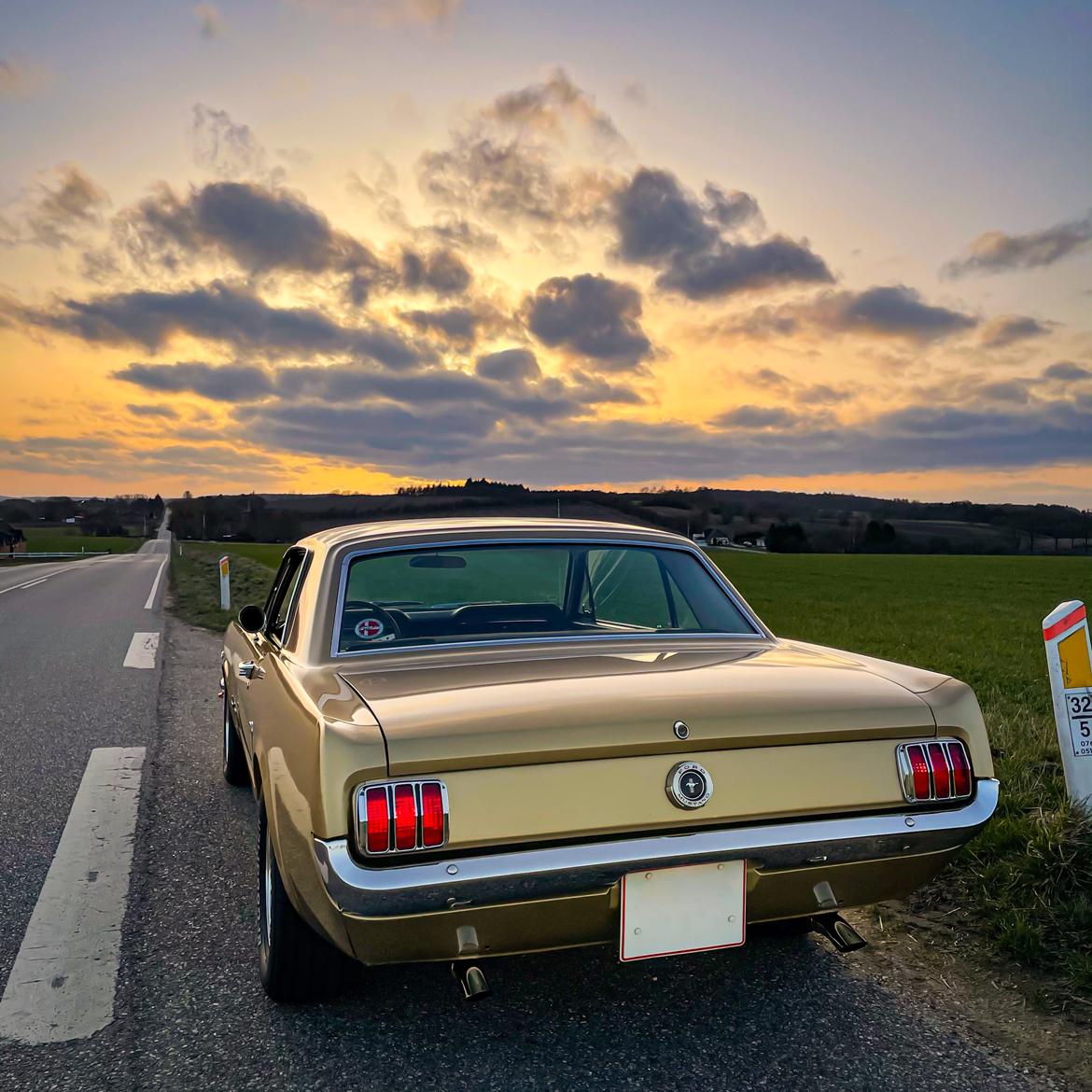 Ford Mustang HiPo Coupé - Solnedgang 2021 billede 3