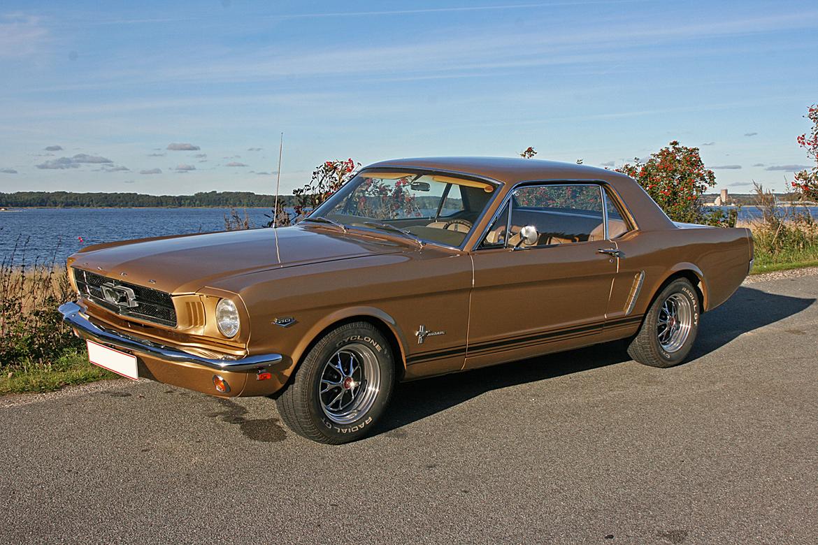 Ford Mustang HiPo Coupé - 29/9-2013. Hyggetur til Mariager. billede 7