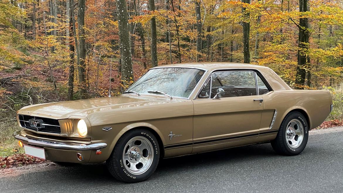 Ford Mustang HiPo Coupé - Sæsonens sidste cruise 2020. billede 4