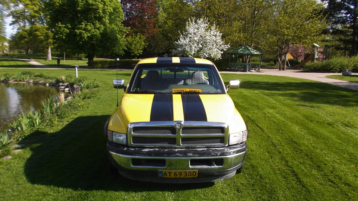 Amerikaner Dodge Ram Runner VTS V10 (Ramsi) - som den stod da jeg næsten lige hade købt den billede 8