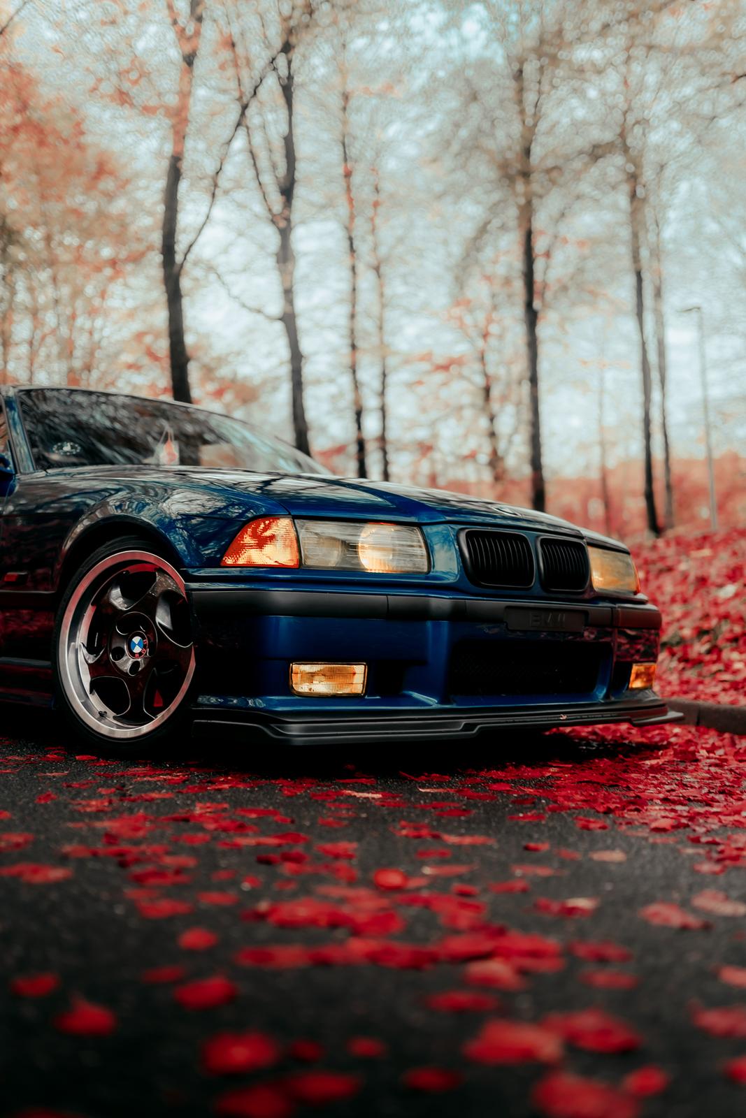 BMW E36 3.2 M3 Coupé billede 43