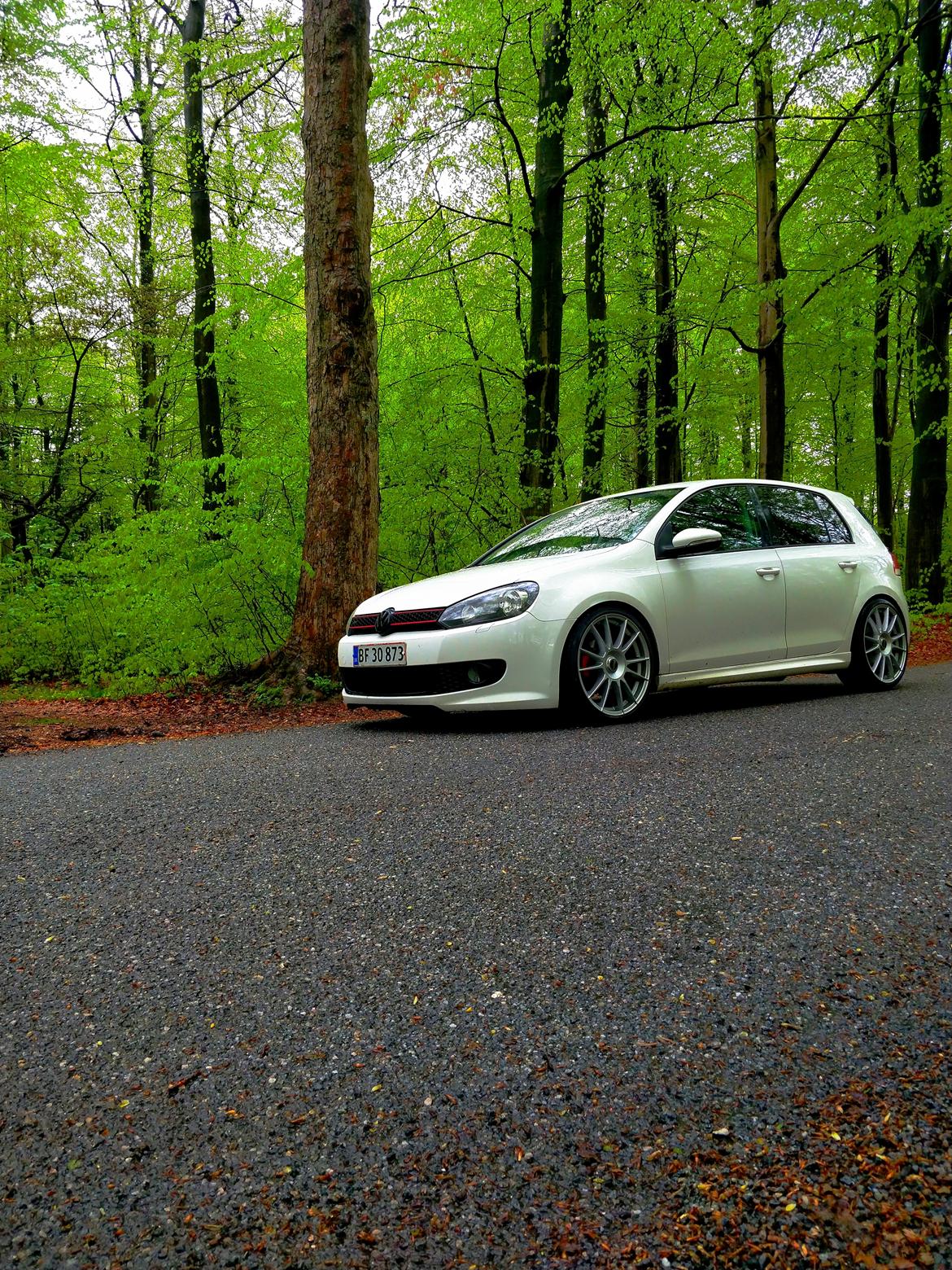 VW Golf 6 Bluemotion billede 1