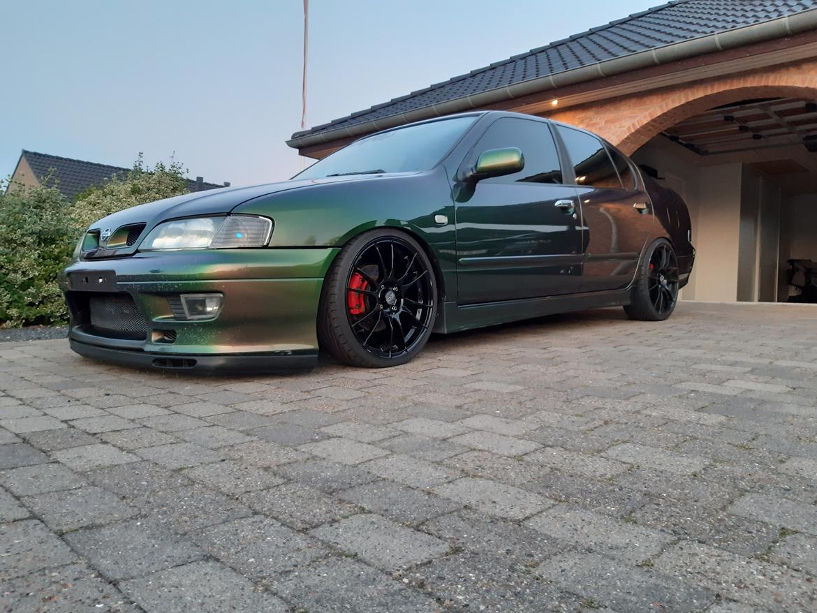 Nissan Primera STW Edition - Vasket 2021 :) billede 1