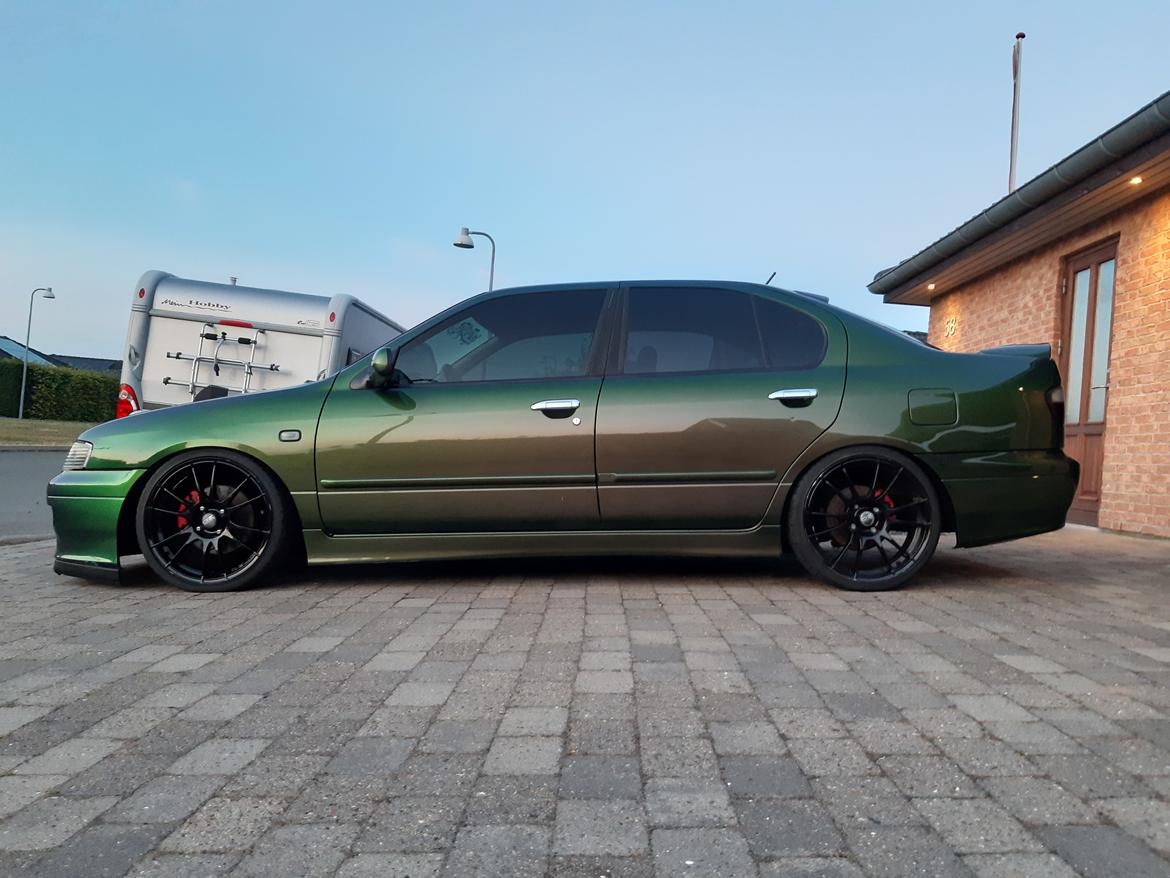 Nissan Primera STW Edition - Vasket 2021 :) billede 2