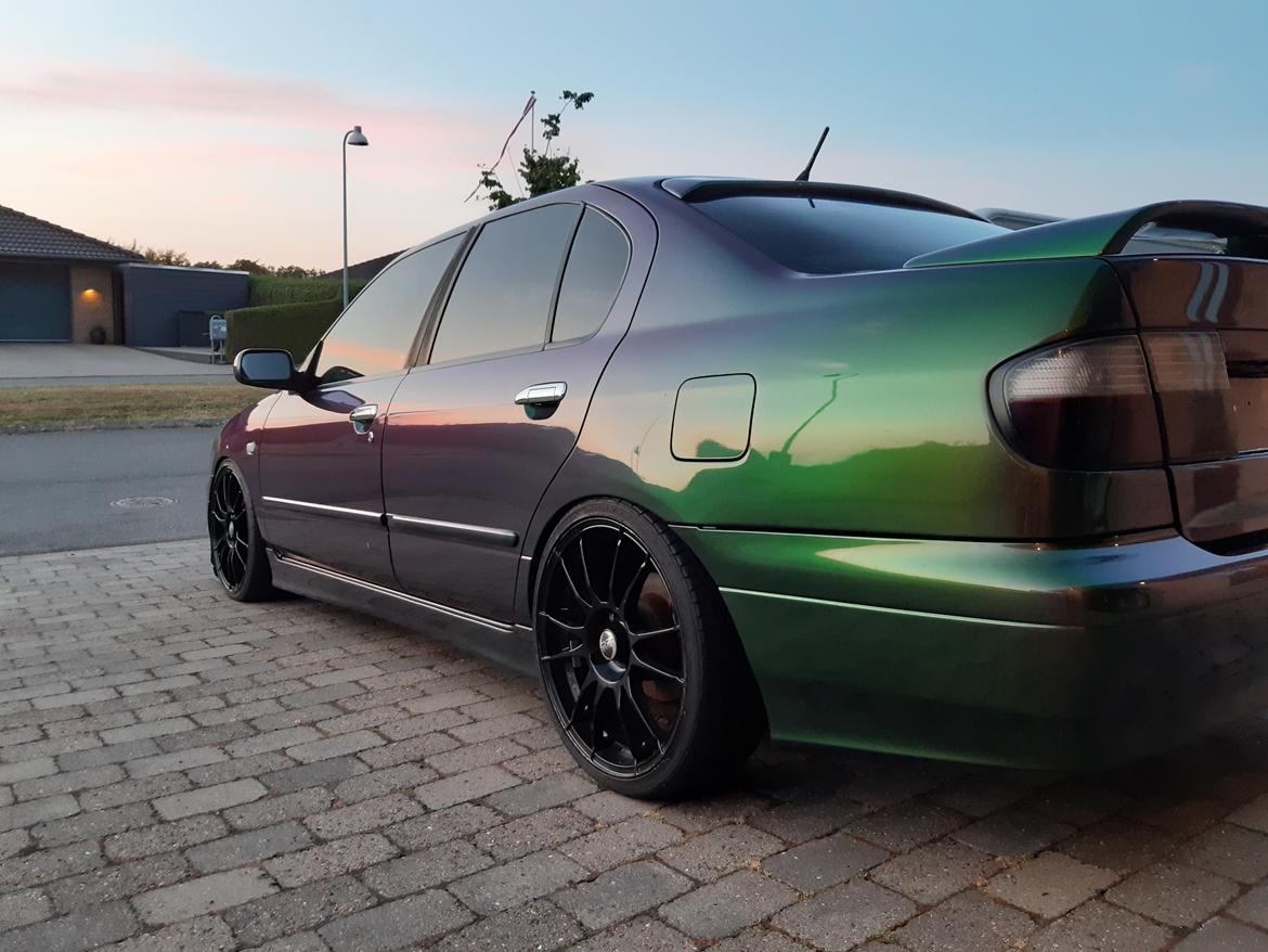 Nissan Primera STW Edition - Vasket 2021 :) billede 3