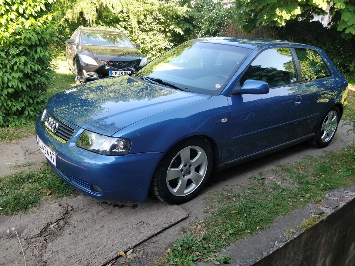 Audi A3 8L 1.8T (skrottet) billede 6