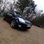 Ford Fiesta Mk. 6 (hverdags slaven)