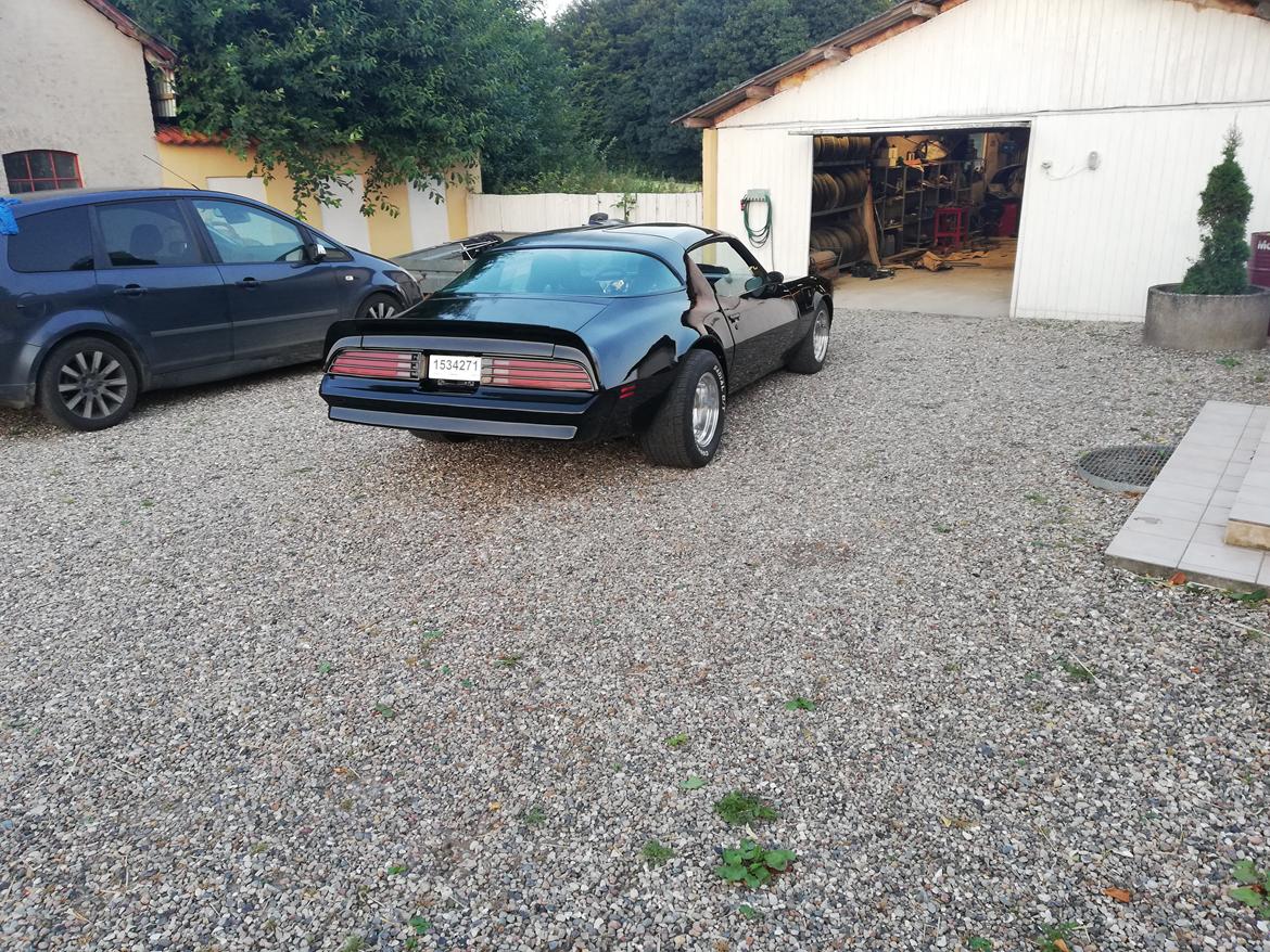 Pontiac Firebird (trans am)  billede 2
