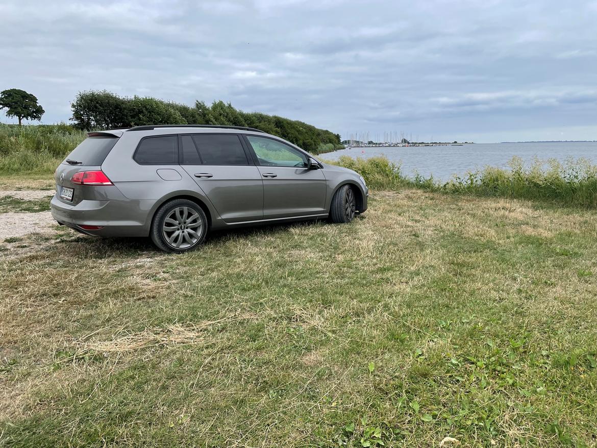 VW Golf 7 variant billede 8