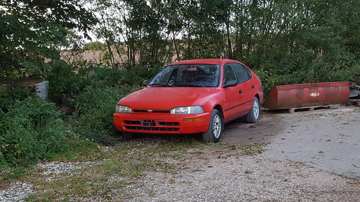 Toyota Corolla Liftback  billede 1