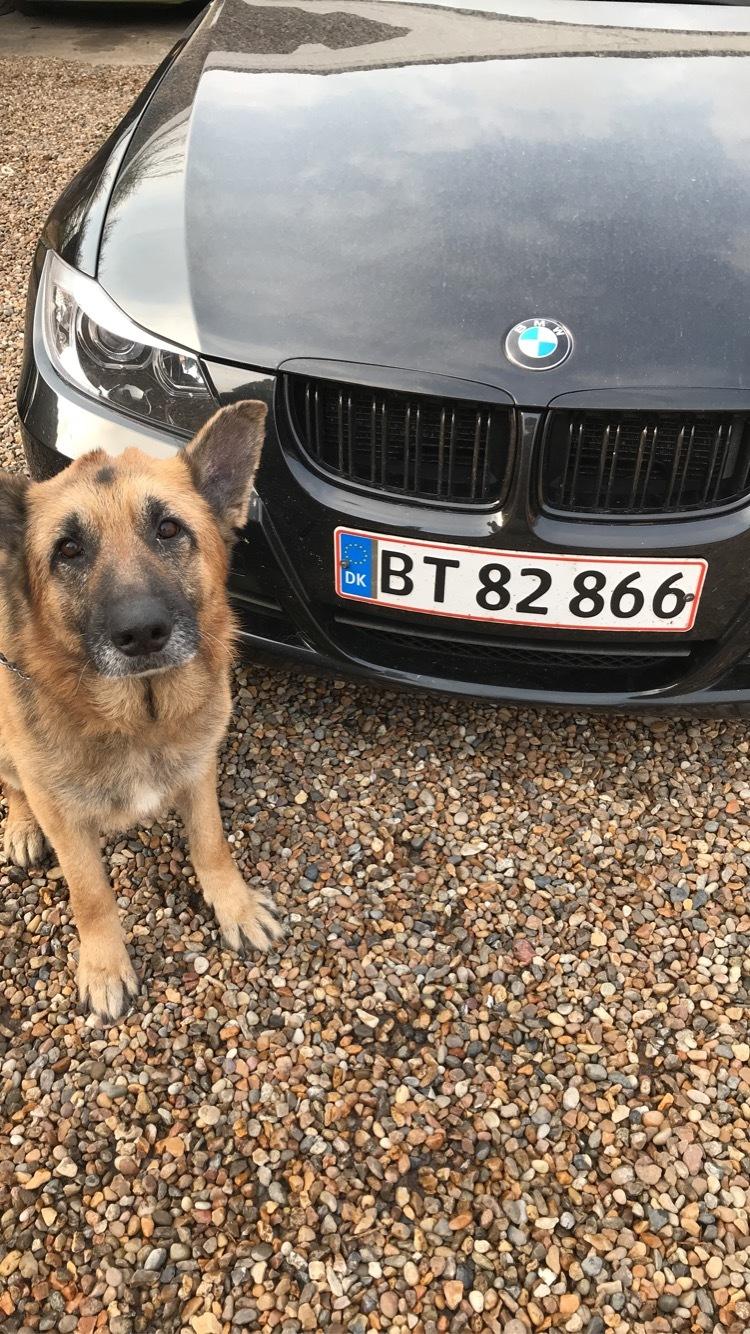 BMW E90 325d billede 9