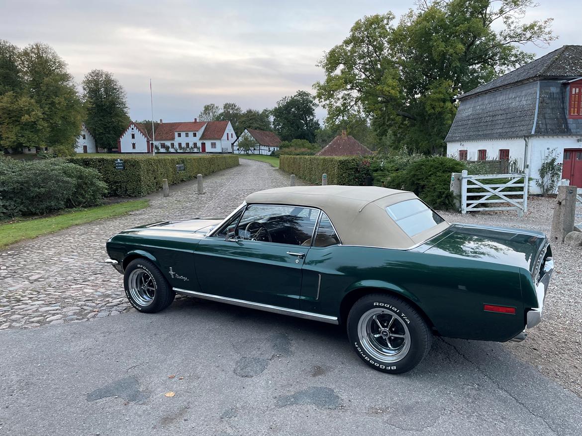 Ford Mustang Convertible 1968 billede 11