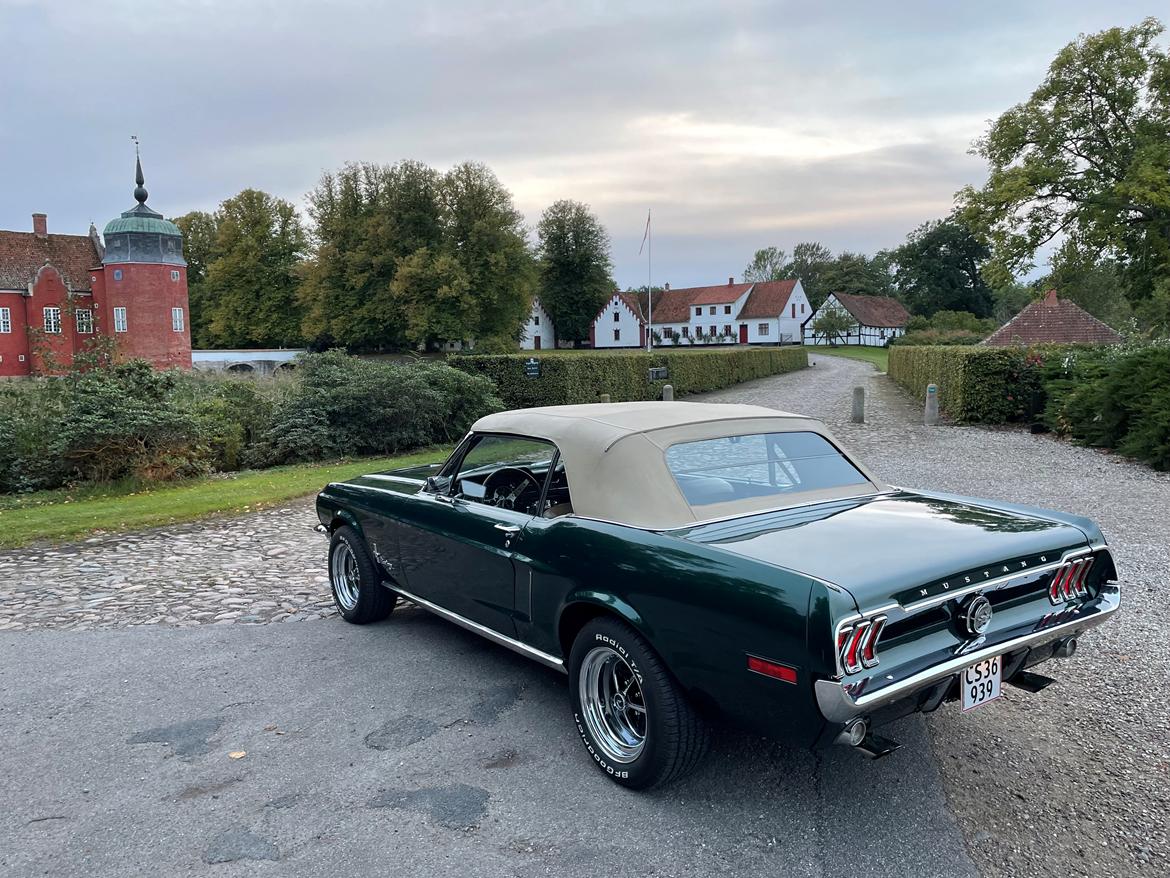 Ford Mustang Convertible 1968 billede 12