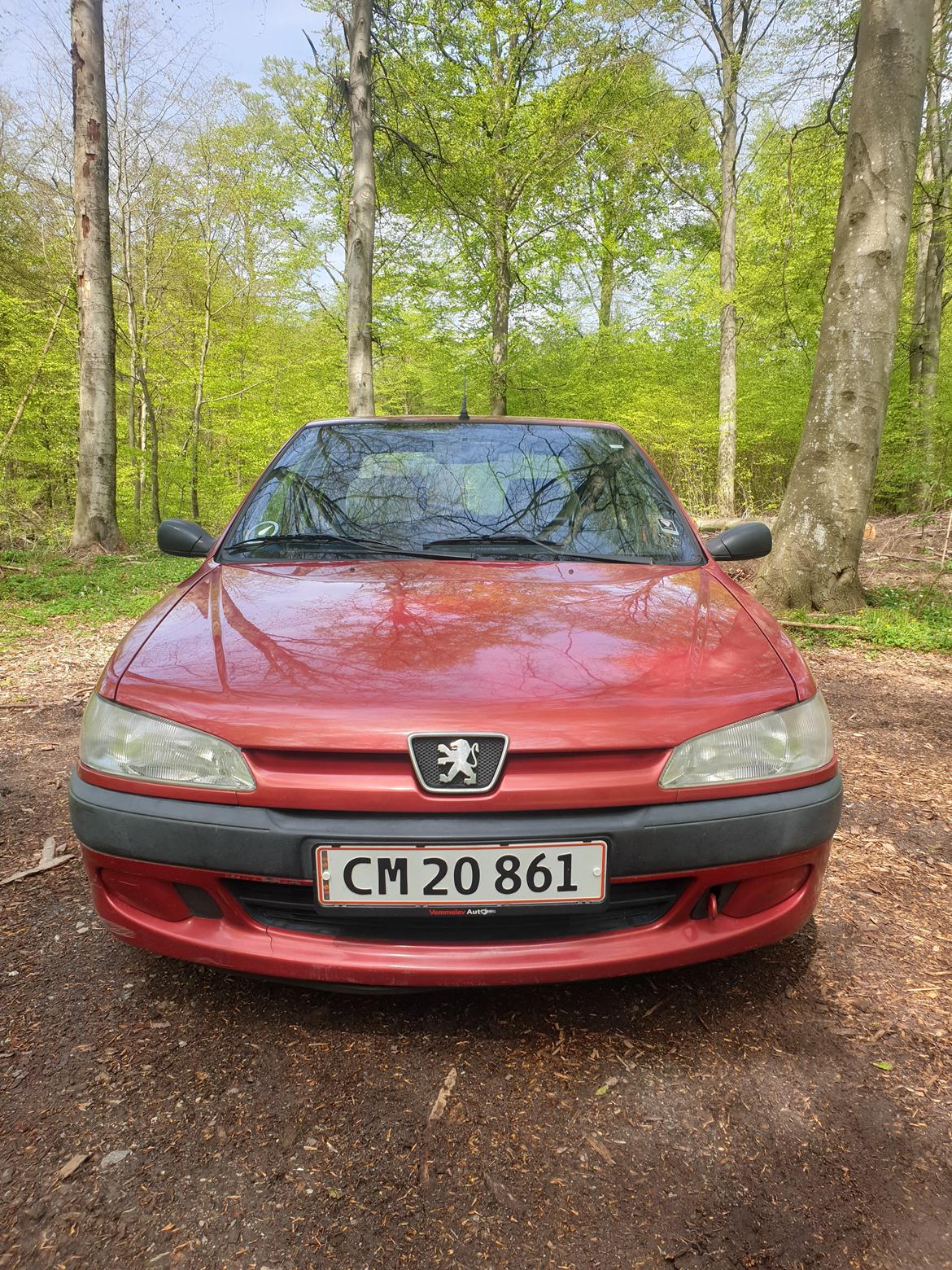 Peugeot 306 billede 2