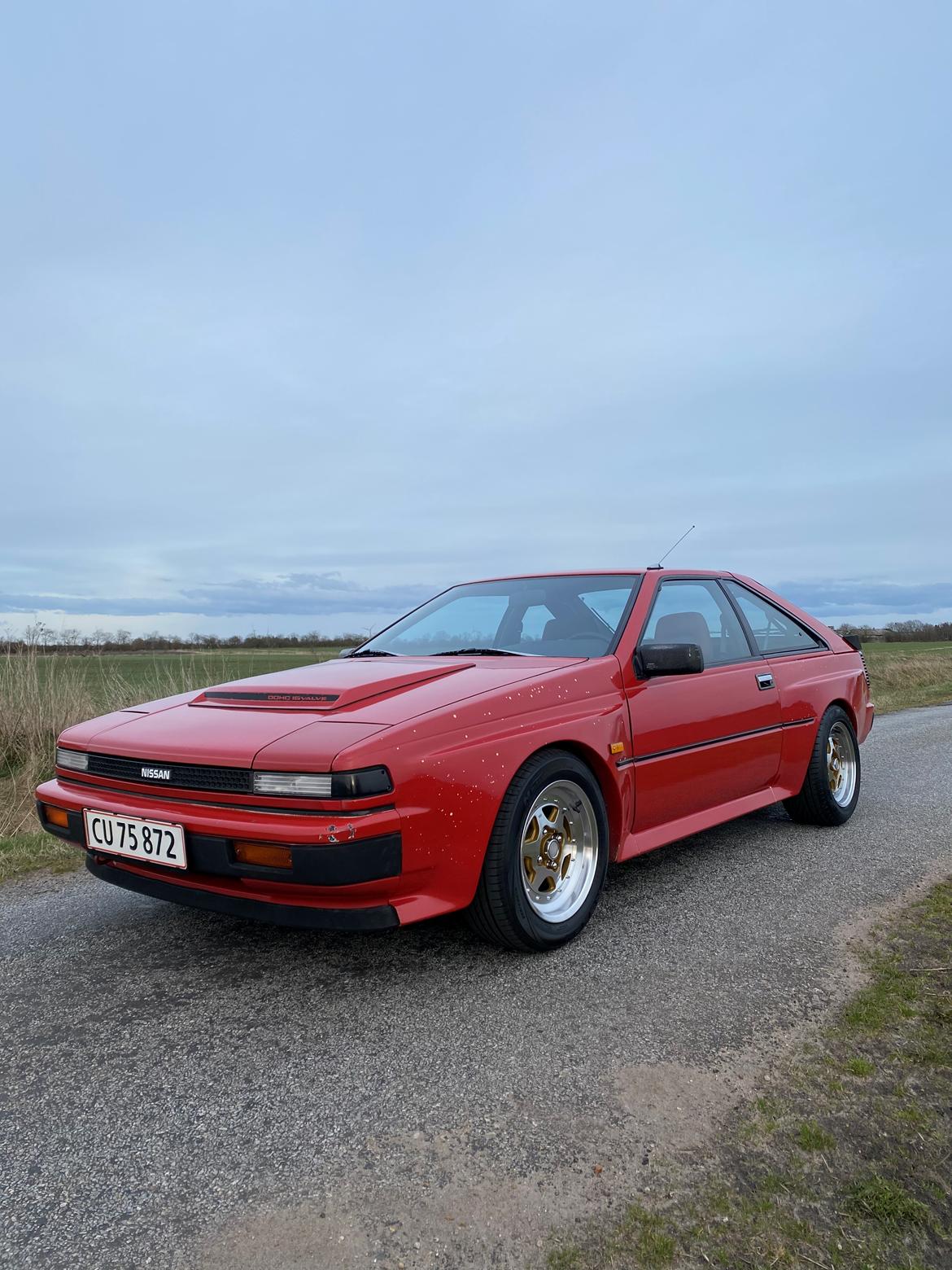 Nissan Silvia S12 Grand Prix billede 17