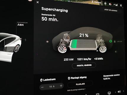 Tesla Model 3 Performance billede 10