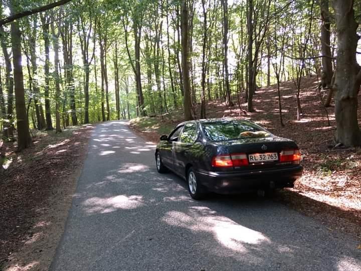 Toyota Carina E billede 10