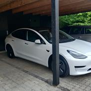 Tesla Model 3 Standard Range Plus