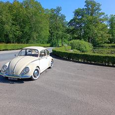 VW Bobbel 1200