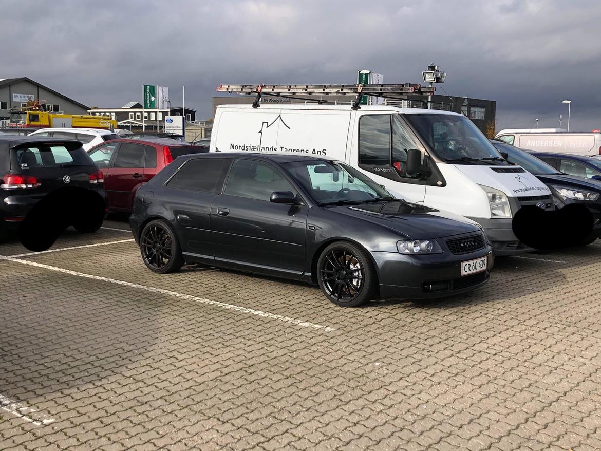 Audi A3 8L billede 1