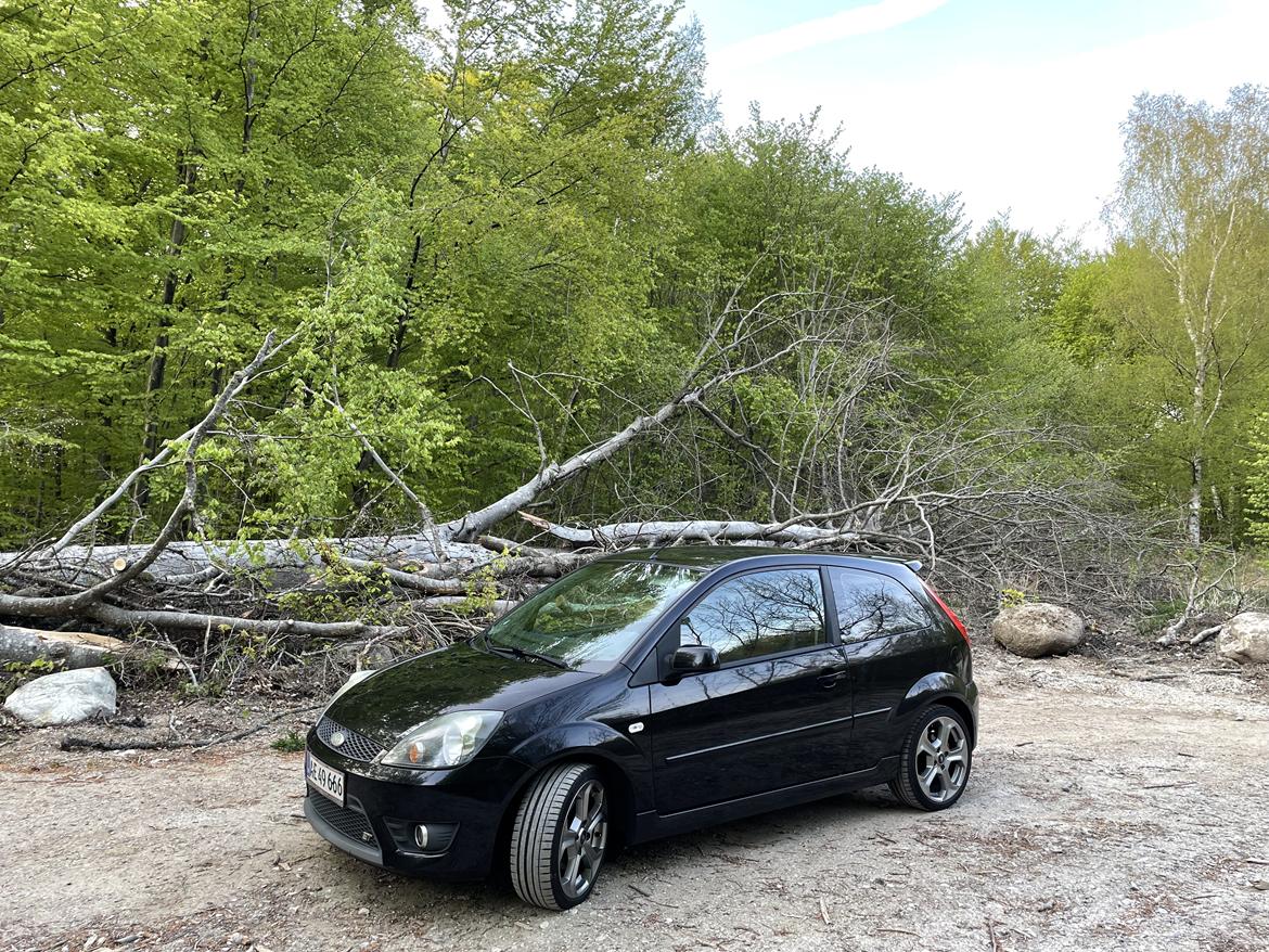 Ford Fiesta ST150 billede 1