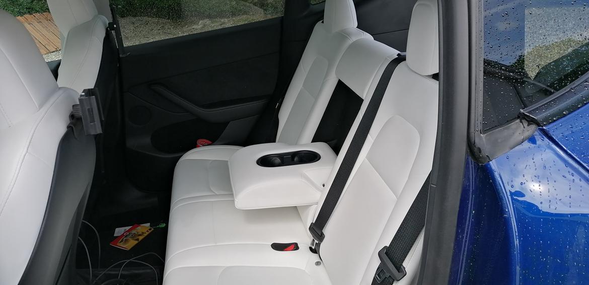 Tesla Y Performance  billede 3