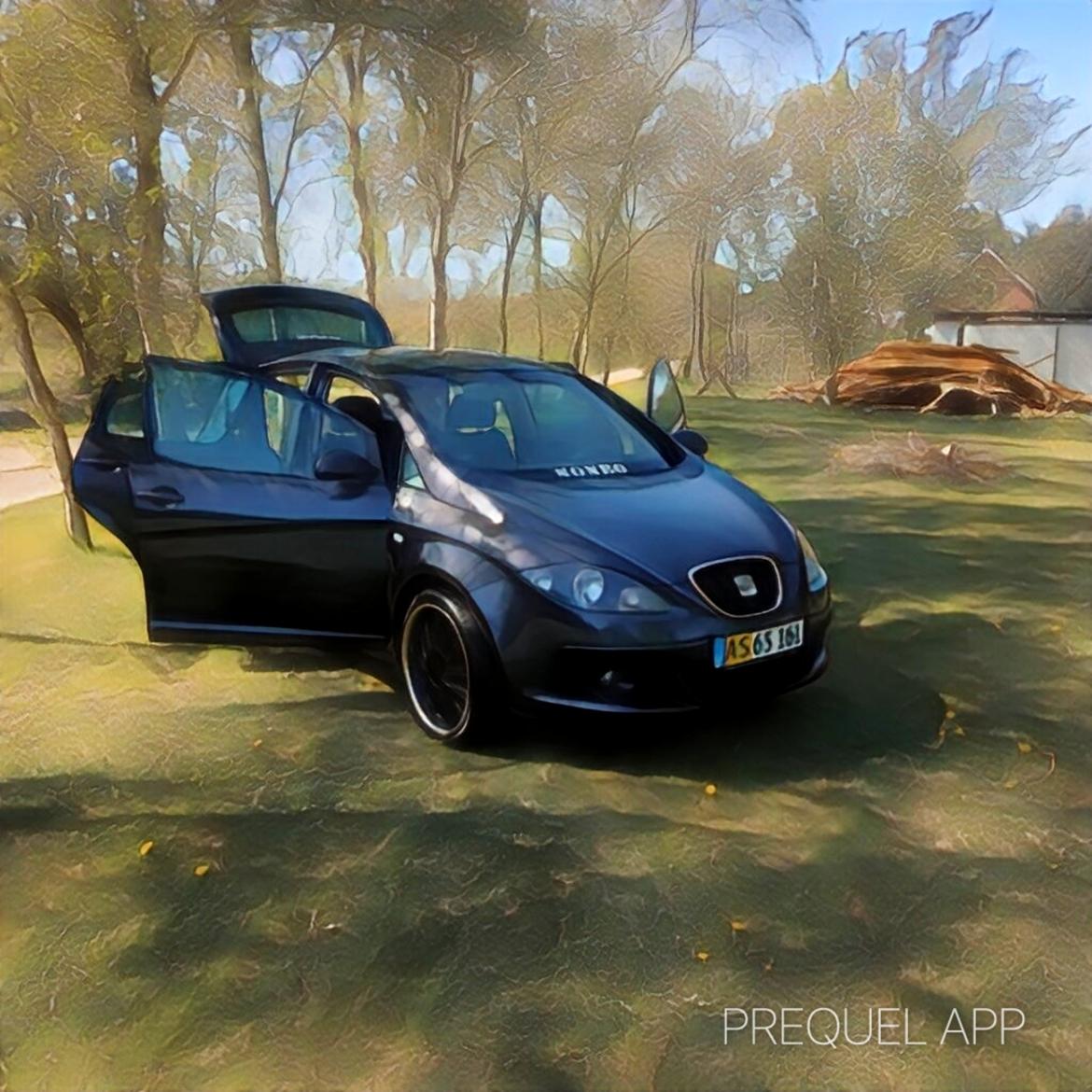 Seat ALTEA billede 1