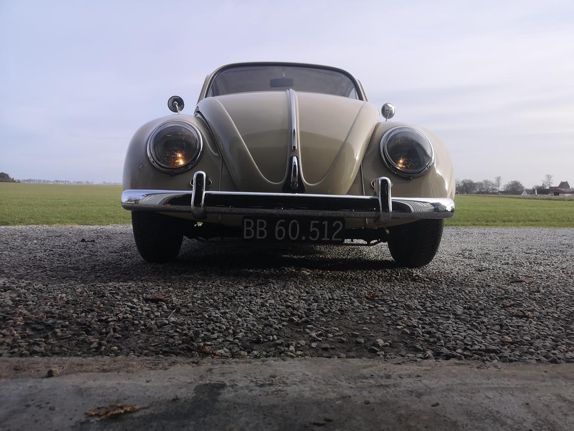 VW Bobbel 1200 billede 5