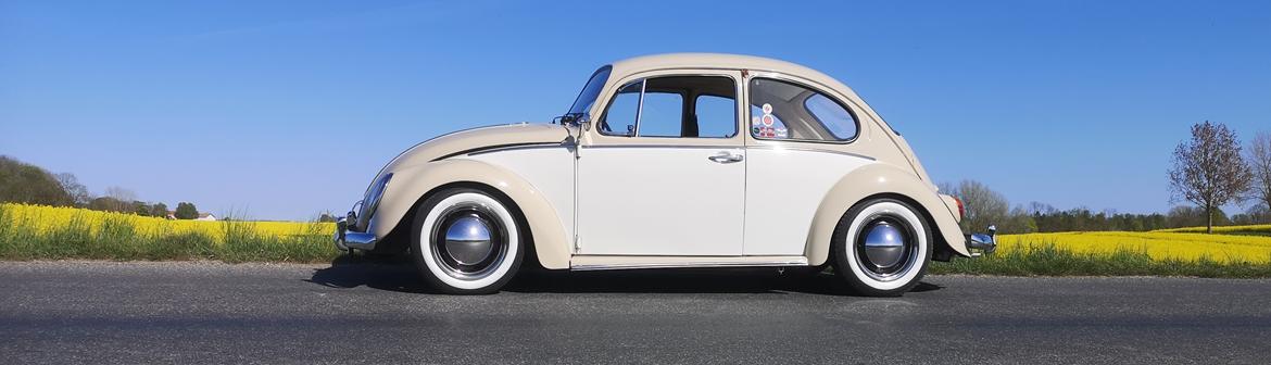 VW Bobbel 1200 billede 6