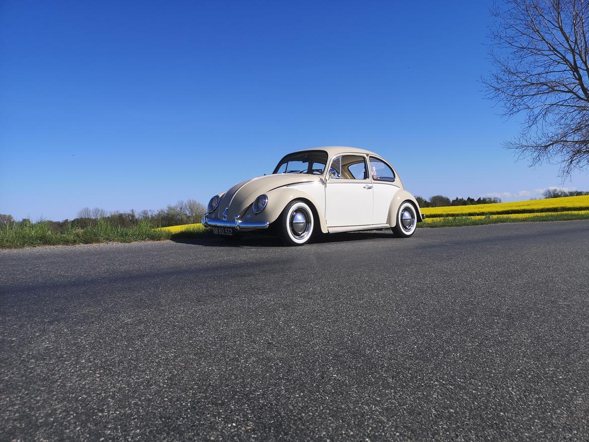 VW Bobbel 1200 billede 7