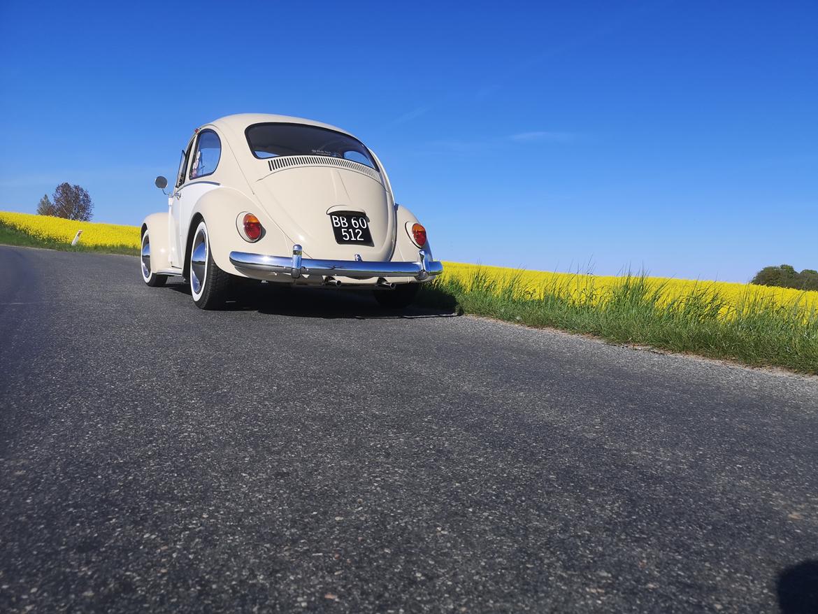 VW Bobbel 1200 billede 8