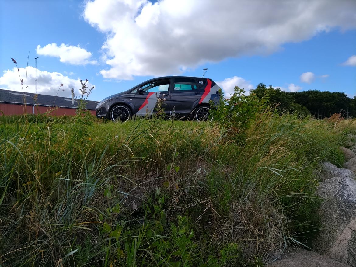 Seat ALTEA billede 12