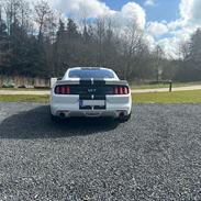 Ford Mustang GT Fastback (U.S).