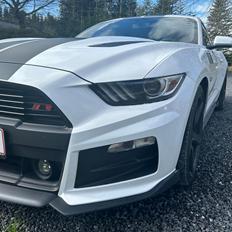 Ford Mustang GT Fastback (U.S).